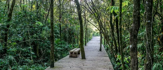 Terreno em Águas de Santa Bárbara — foto 2