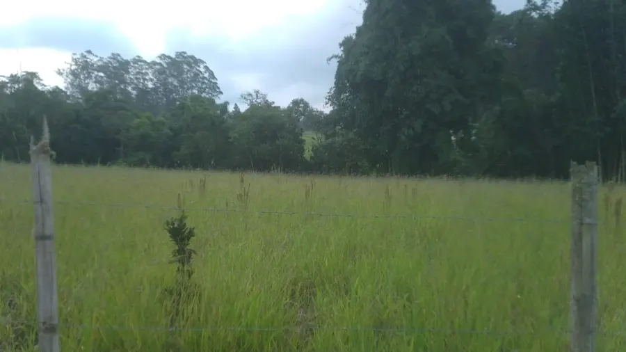 Terreno no Engenheiro Marsilac — foto 4