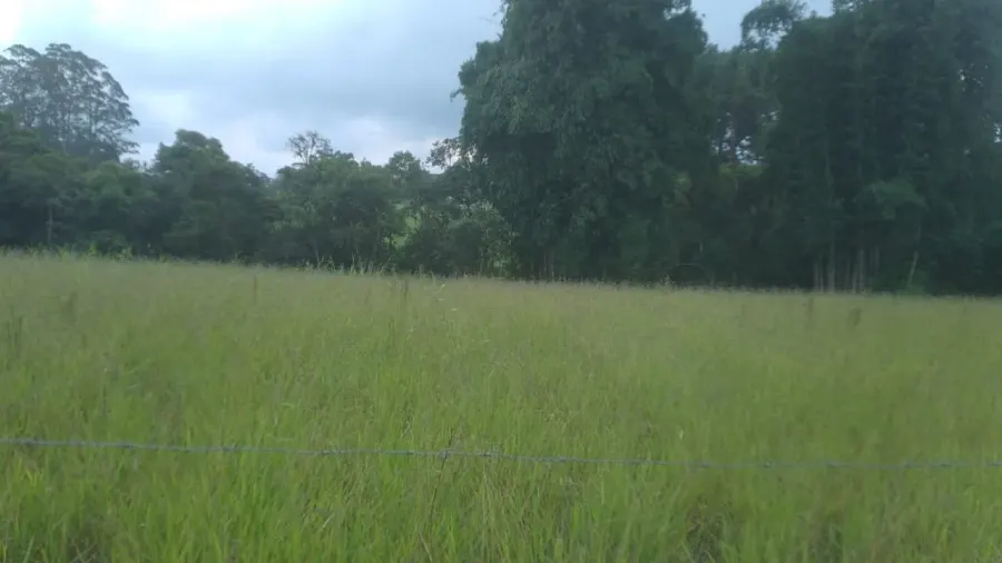 Terreno no Engenheiro Marsilac — foto 3
