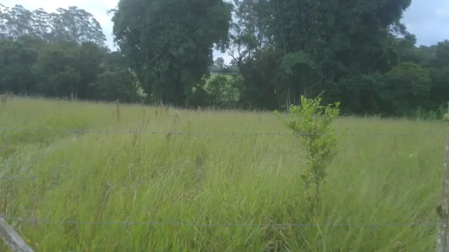 Terreno no Engenheiro Marsilac — foto 2